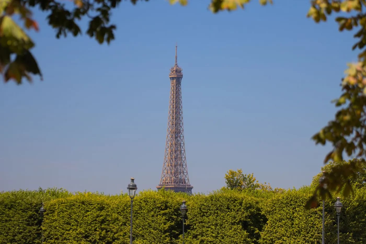 Dinner beneath the Eiffel Tower
