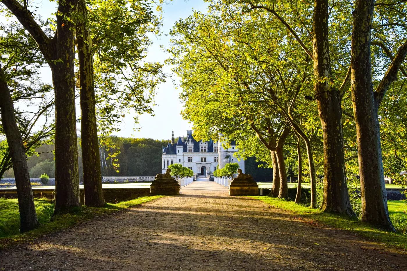Chenonceau castle visit and Loire wine tasting
