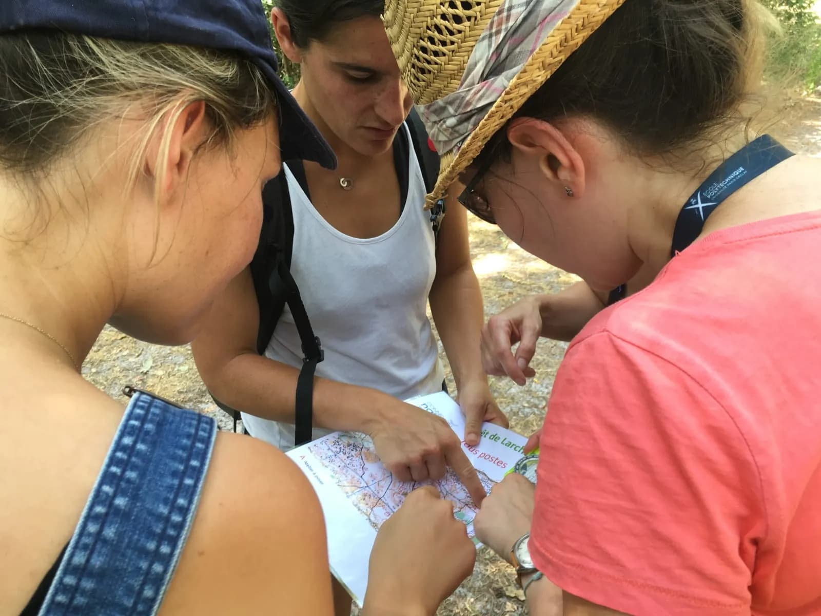 Climate orienteering course near Fontainebleau