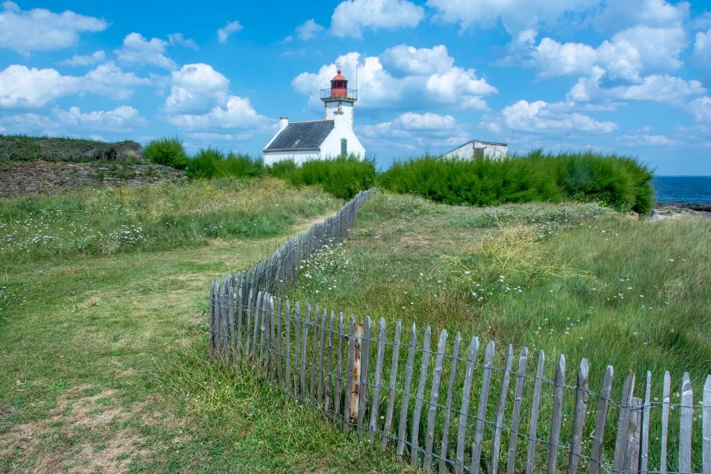 Shore foraging and seafood cooking in Brittany