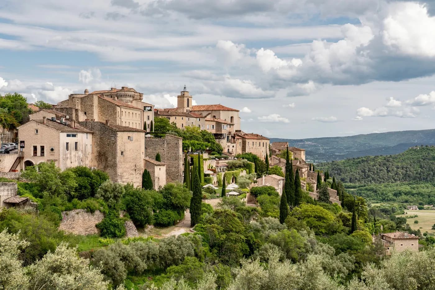 Truffle hunt and lunch in Provence
