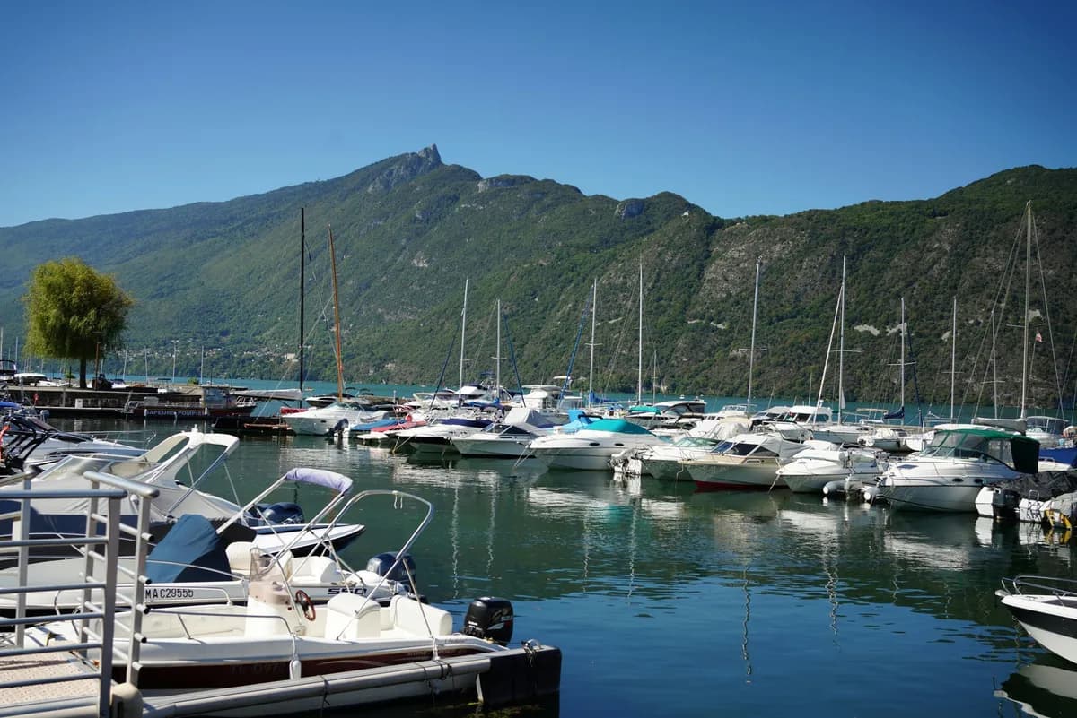 Moored boats in a marina with a wooded mountain ridge in the background