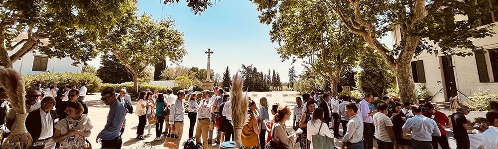 Guests gathered in the courtyard of Domaine de Méjanes under the plane trees, Camargue