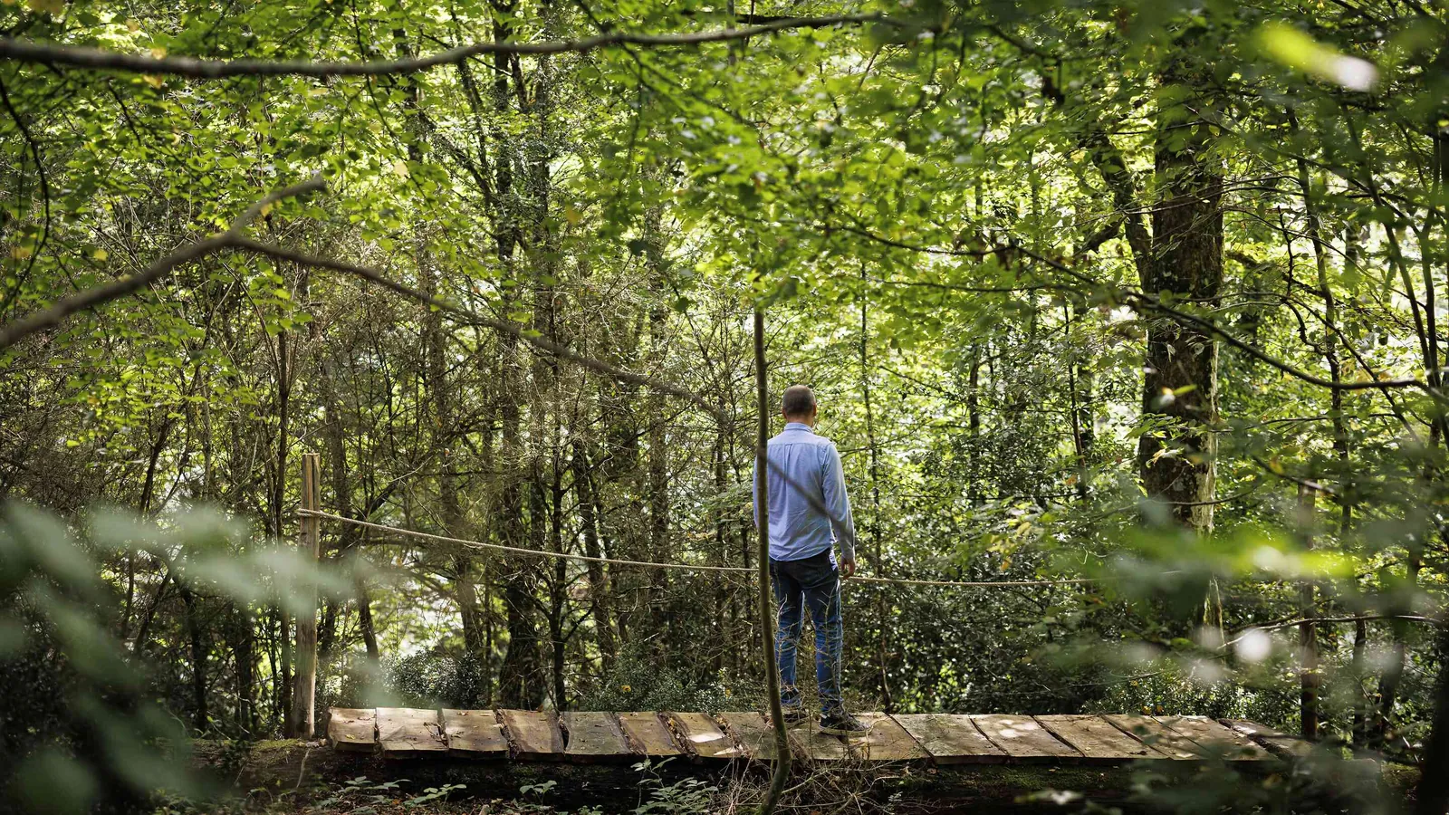 Wooded path with a small wooden footbridge over a stream at Château des Sentes Vives, Yvelines