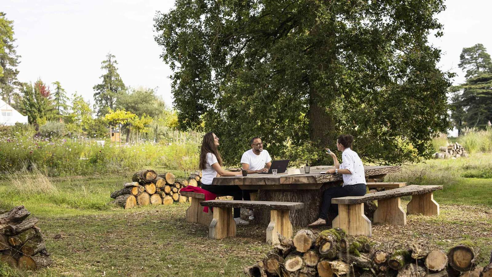 Round wooden table under a large oak tree in the grounds of Château des Sentes Vives, Yvelines