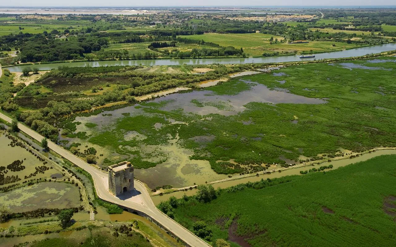 Camargue wetlands and reed channels near Aigues-Mortes