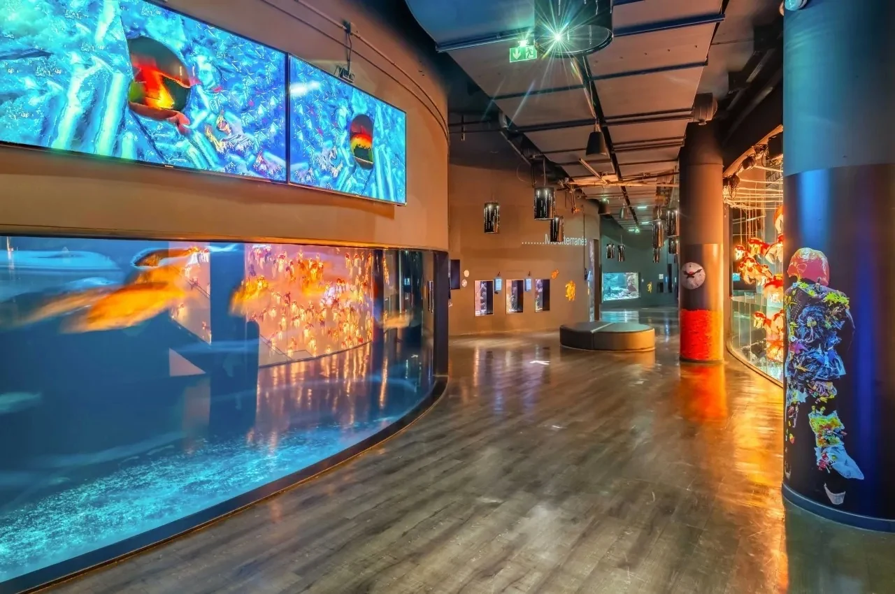 Curved aquarium tank lining a corridor of the event rooms